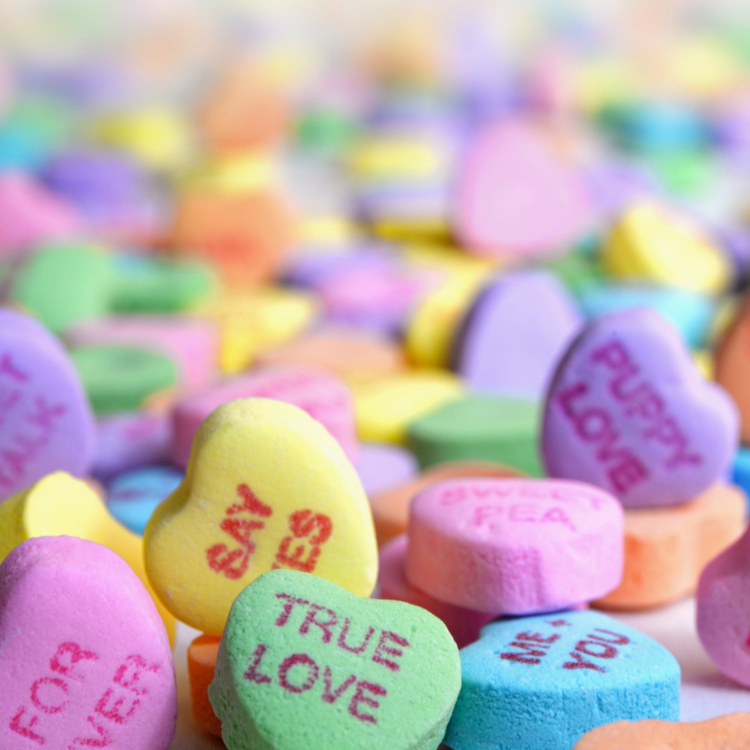 Accessory Job Lots - Style in Bulk