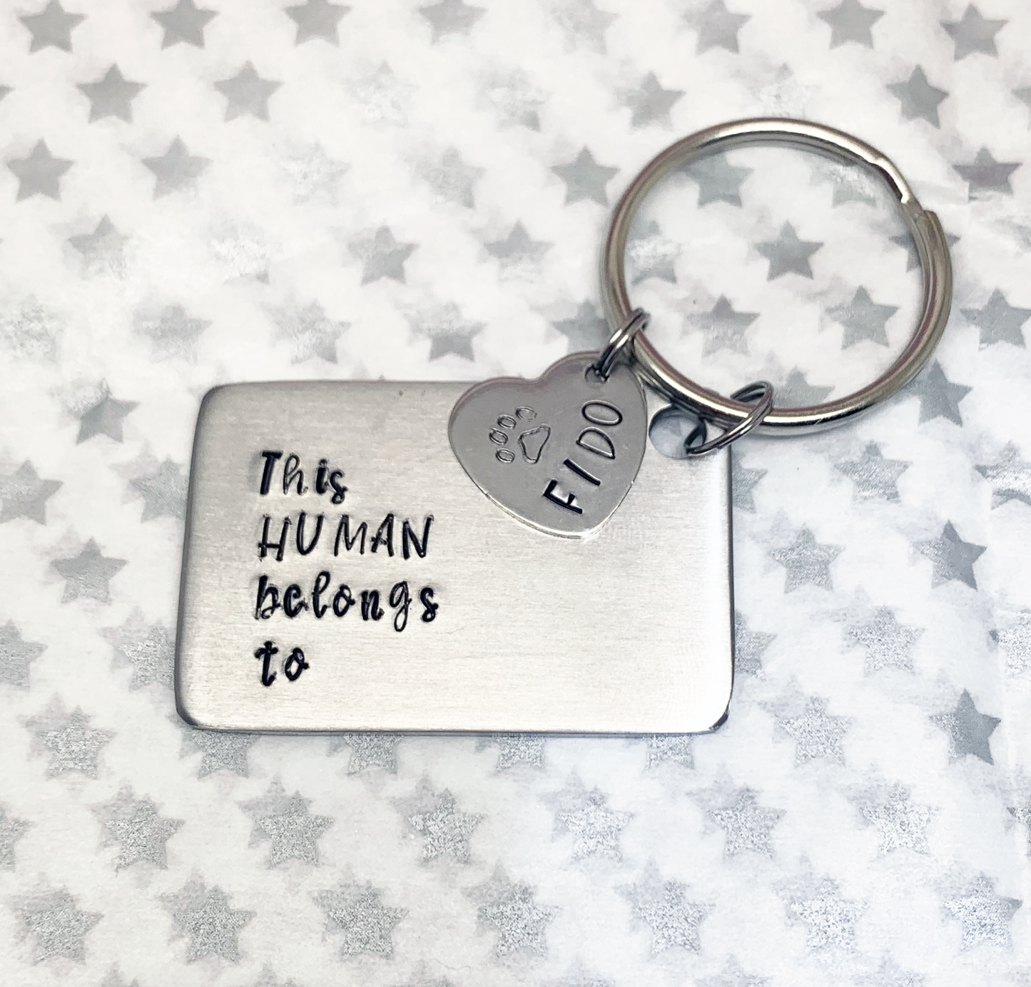Dog  or Cat Owner Keyring